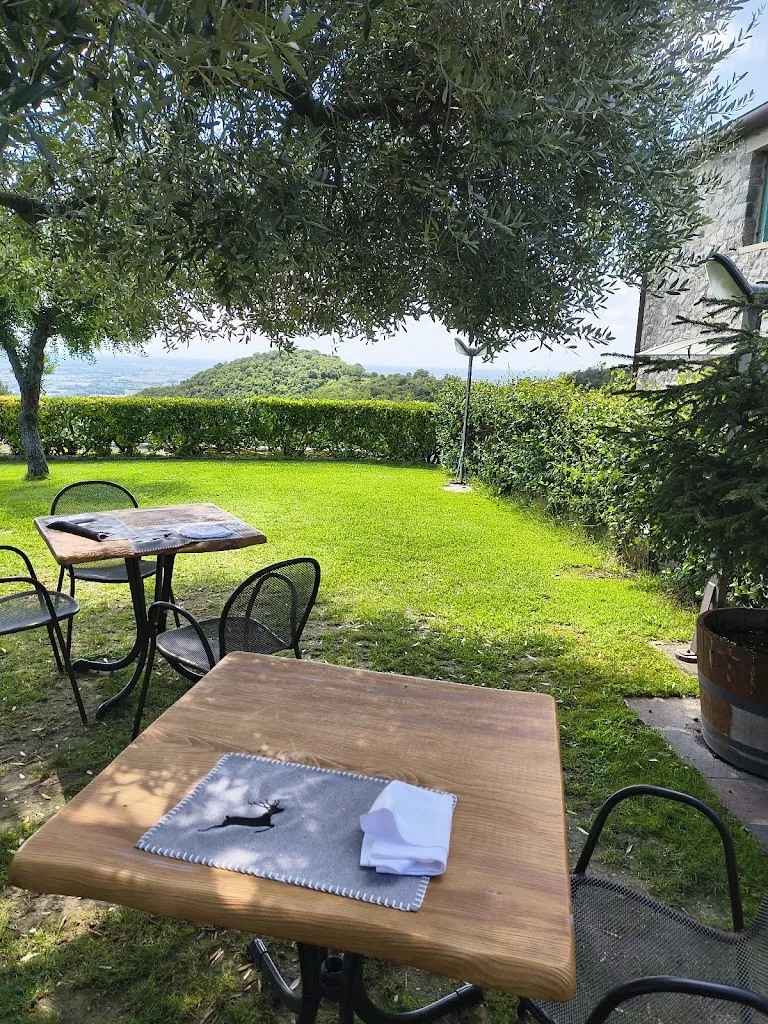 Trattoria Tre Camini - Calaone _Baone_slider_image_3