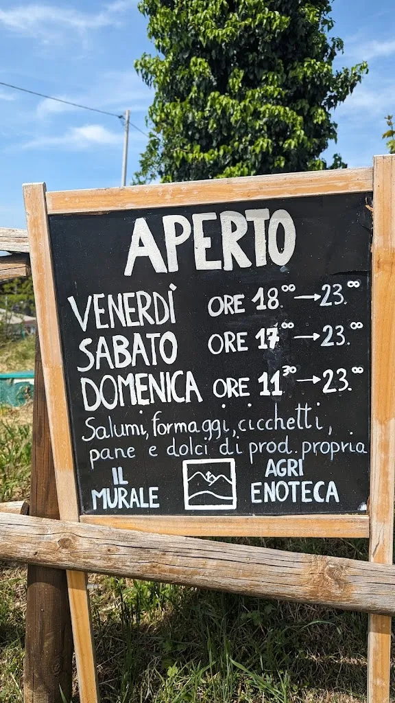 Menu_Azienda agricola agrituristica Il Murale_Baone_image_1