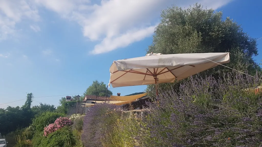 Antonio Pistore_Azienda agricola agrituristica Il Murale_Baone_review