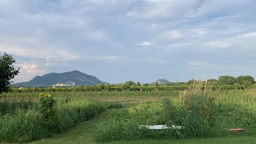 Bob Brants _Agriturismo Alba_Baone_review