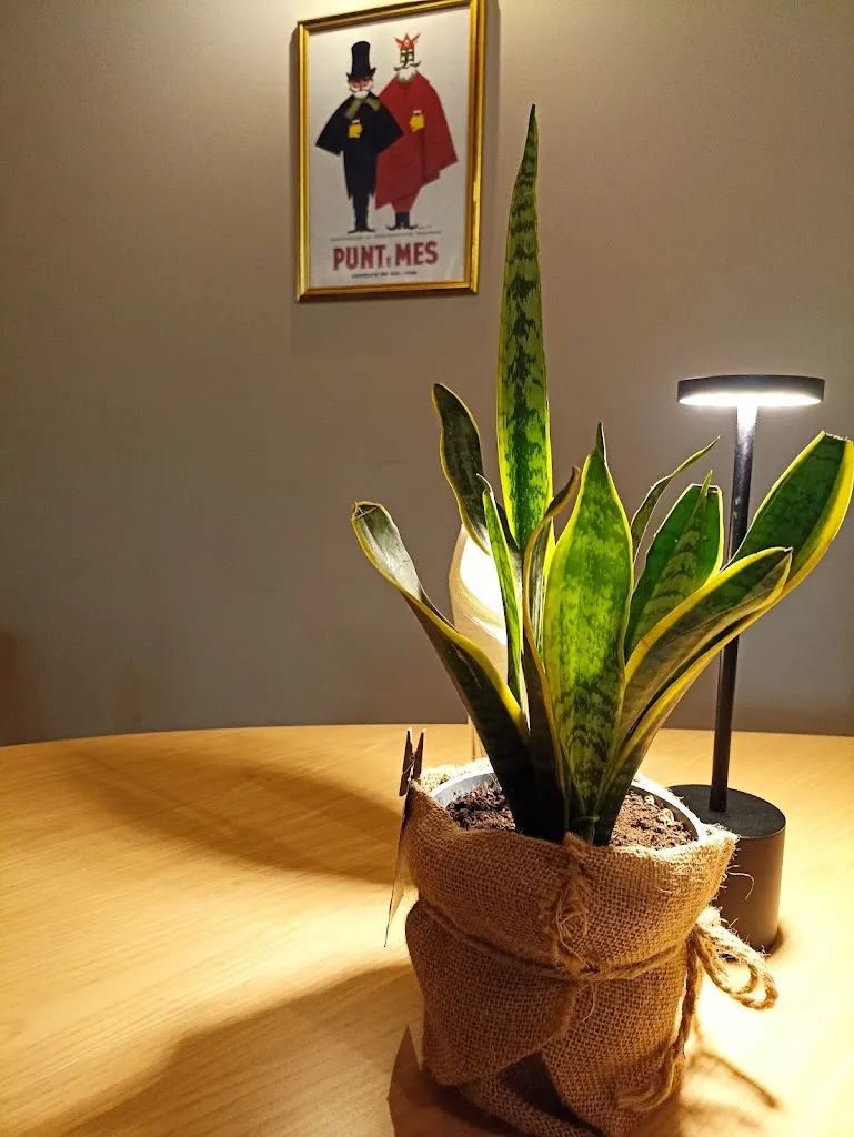 Mauro Faccin_Dopo Teatro_Arzignano_review