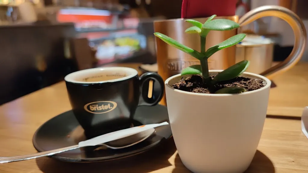 Menu_Il Baretto | Food&drink_Arzignano_image_4