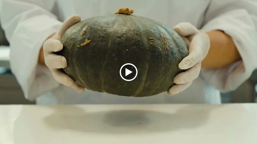 Pizzalonga Away Arzignano_Arzignano_slider_image_2