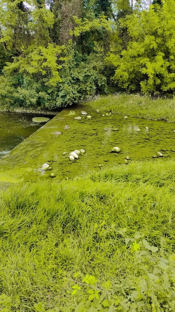 Muhammad Usman_Trattoria Giordani_Arzignano_recensione