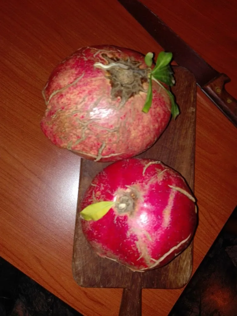 Menu_La Favorita Pizza E Kebab_Arzignano_image_3