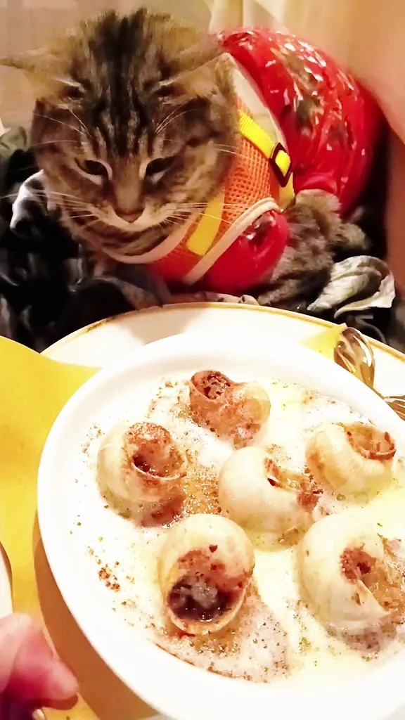 Gigia TravelCat_Locanda da Lino_Barbisano_review