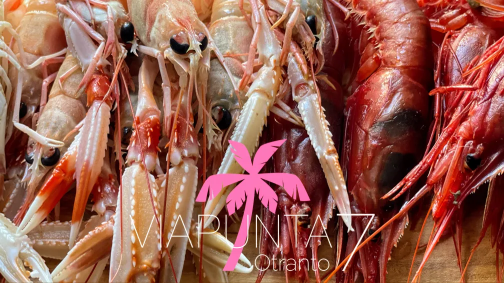 VIAPUNTA7 Tapas Restaurant_Otranto_slider_image_2