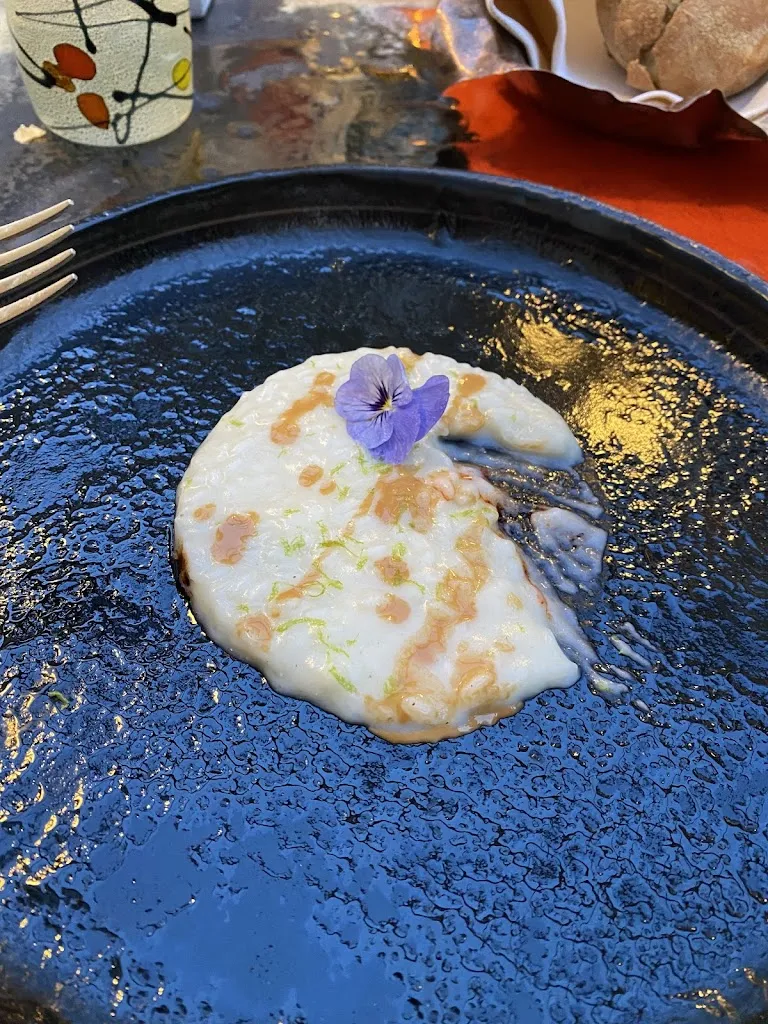 Kimi Holm_Ristorante Gourmet 