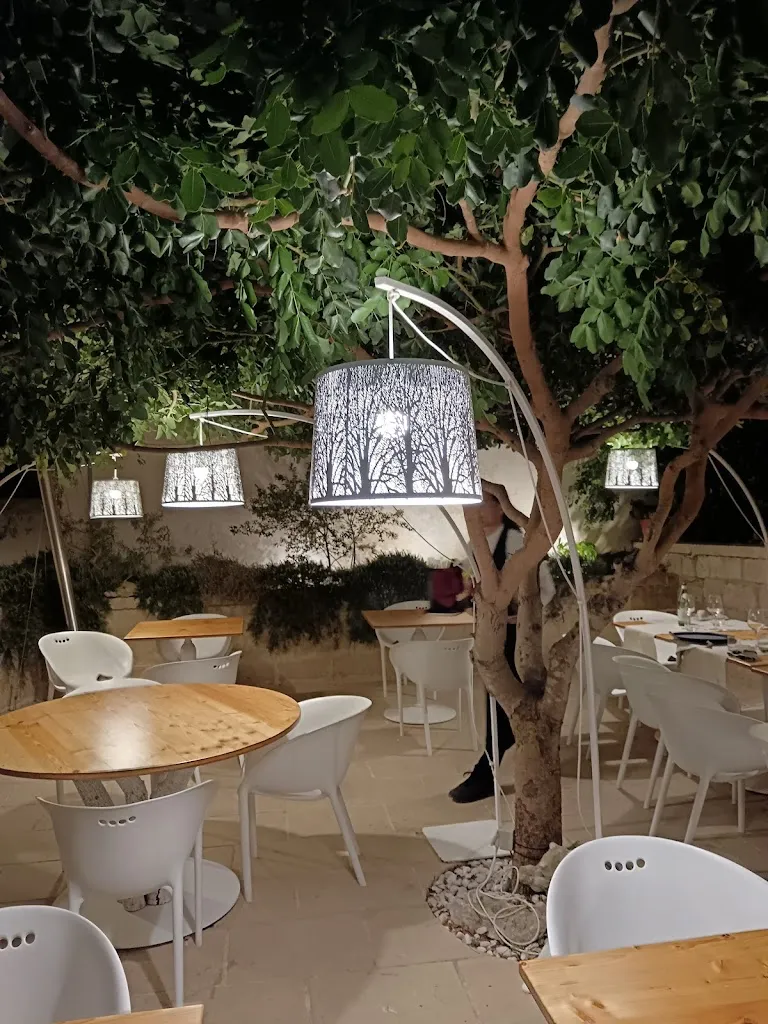 ArborVitae - Otranto_Otranto_slider_image_3