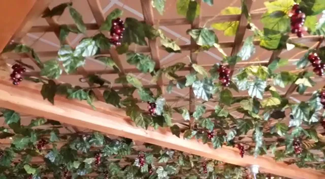 Enoteca Vero Vino_Battaglia Terme_slider_image_2