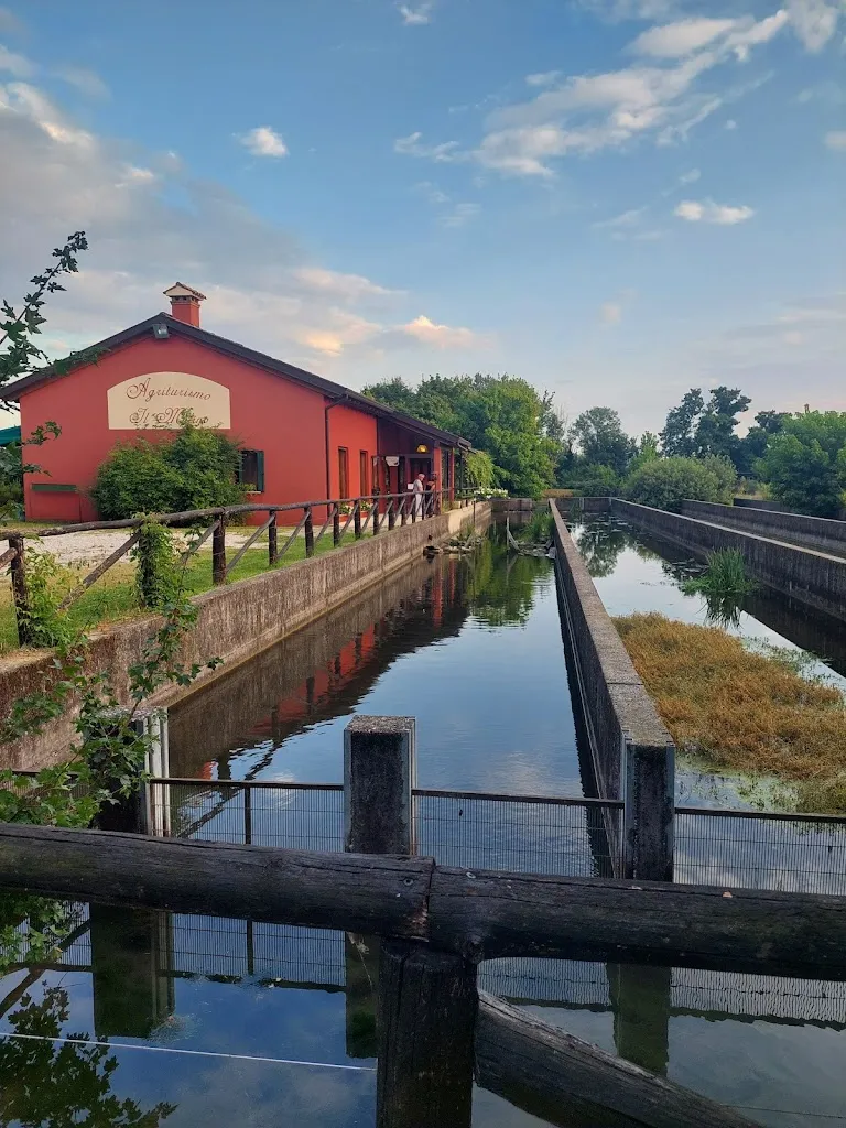 Eula_Agriturismo Il Mulino di Lisa Brunetta_Bibano_review