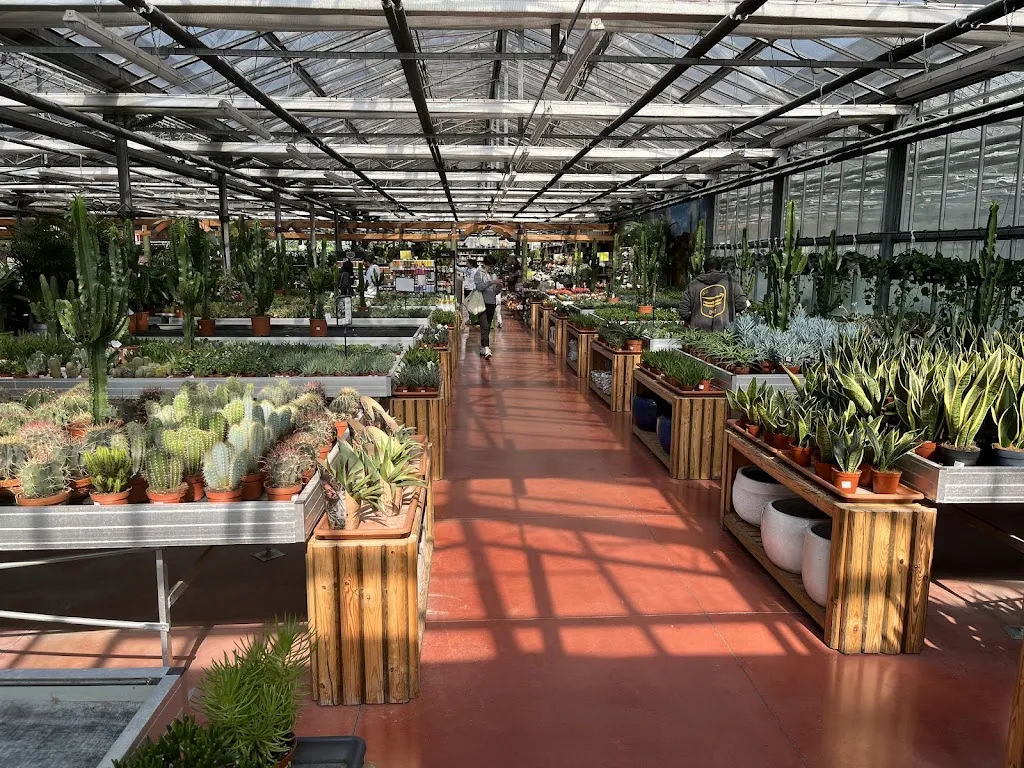 Alessio Fadini_Floricoltura Quaiato - Garden Center Verona_Beccacivetta-Azzano_review