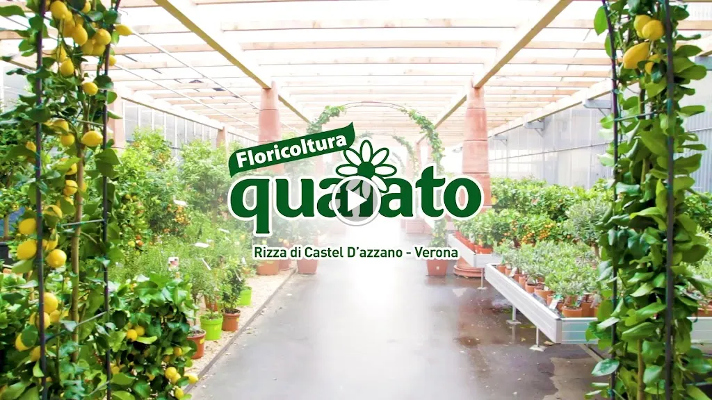 Floricoltura Quaiato - Garden Center Verona_Beccacivetta-Azzano_slider_image_2
