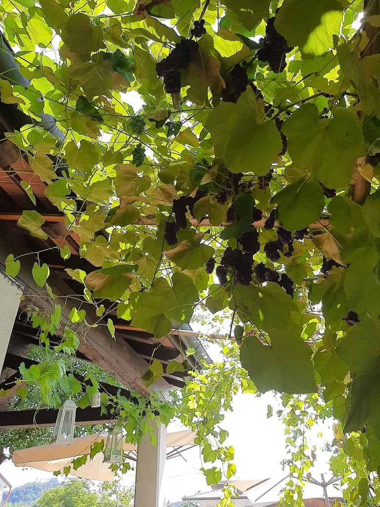 Patrizia Netto_Osteria Da Coche_Bigolino_review