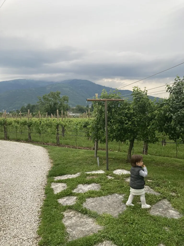 Hasret Belet Michieletti_Farmhouse Le Mesine Azienda Agricola Le Mesine_Bigolino_review