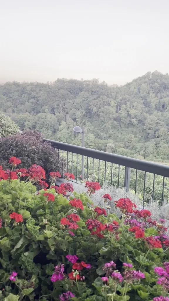 Gennaro Miele_Agriturismo Vedova_Bigolino_review