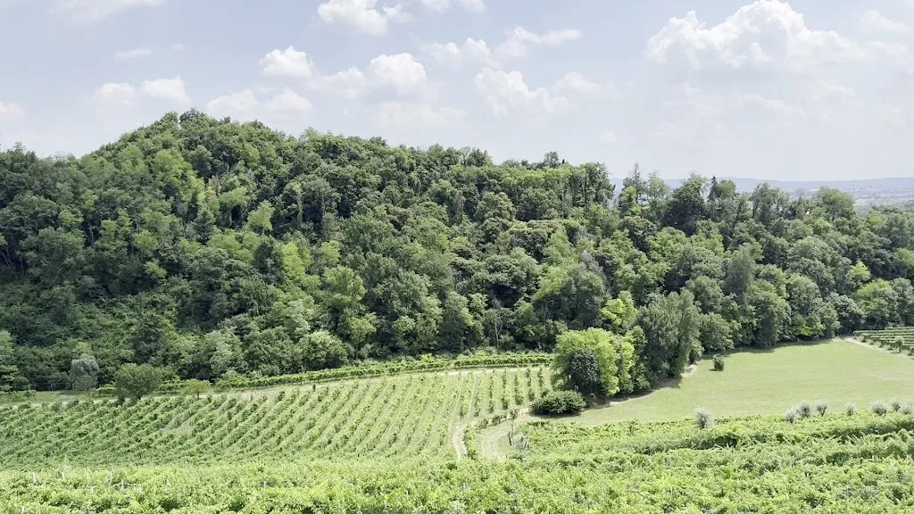 Agriturismo Vedova_Bigolino_slider_image_2