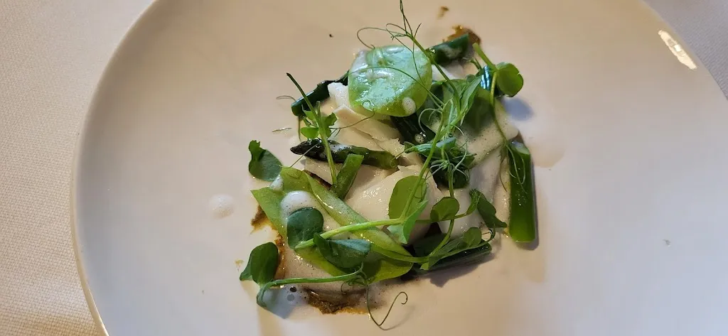 Stella Yang_EXPRIMO_Belluno_review