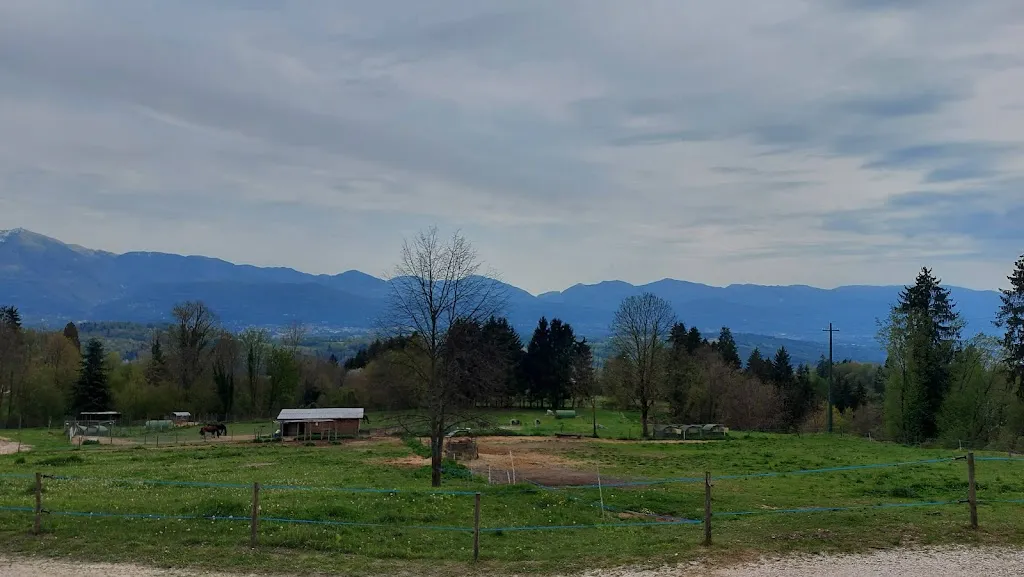 Zuzanna Poskrobko_Ai Zei_Belluno_review