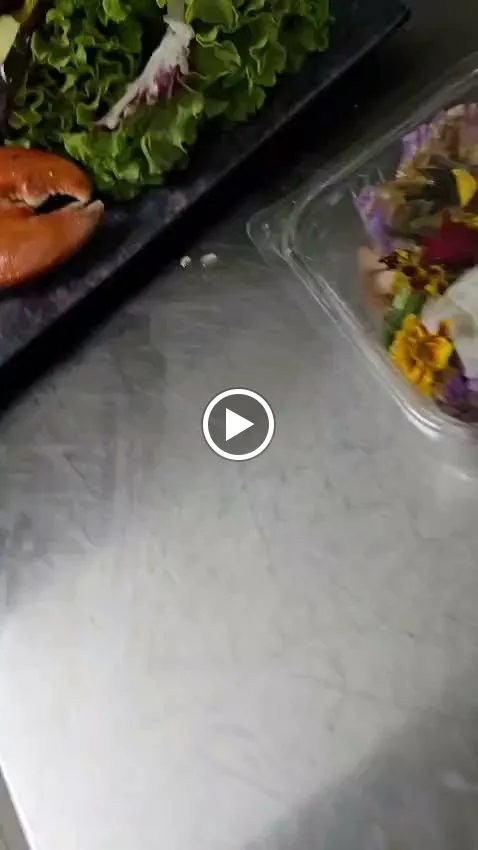 Ristorante Pizzeria Merano_Bibione_slider_image_2