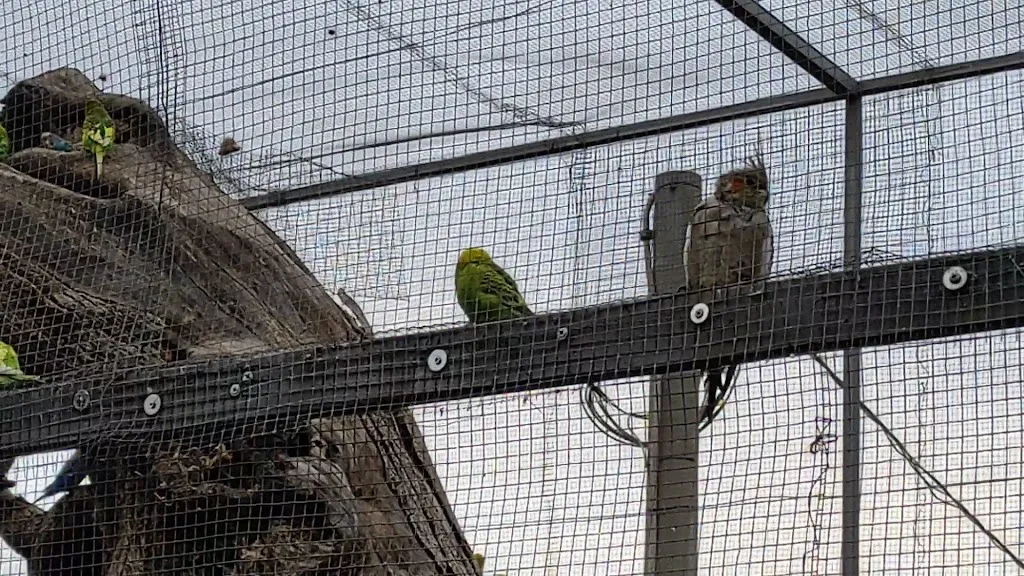 Ivailo Hr_Masseria Sacramento_Palagianello_review