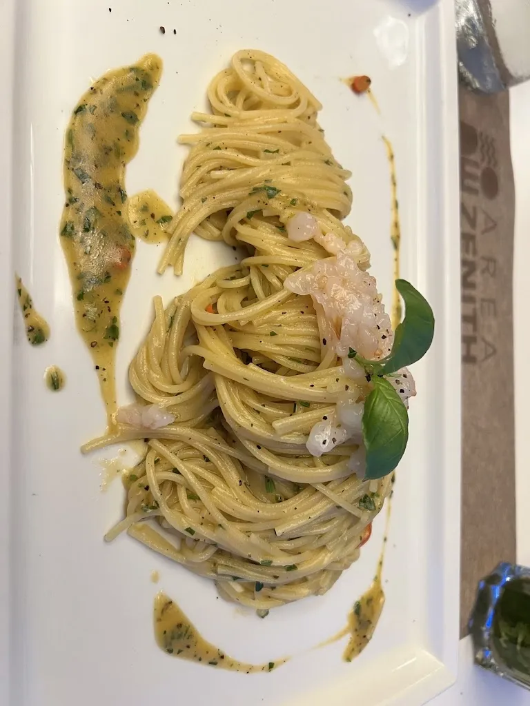 Maciej Cogito_Area Zenith_Bibione_review