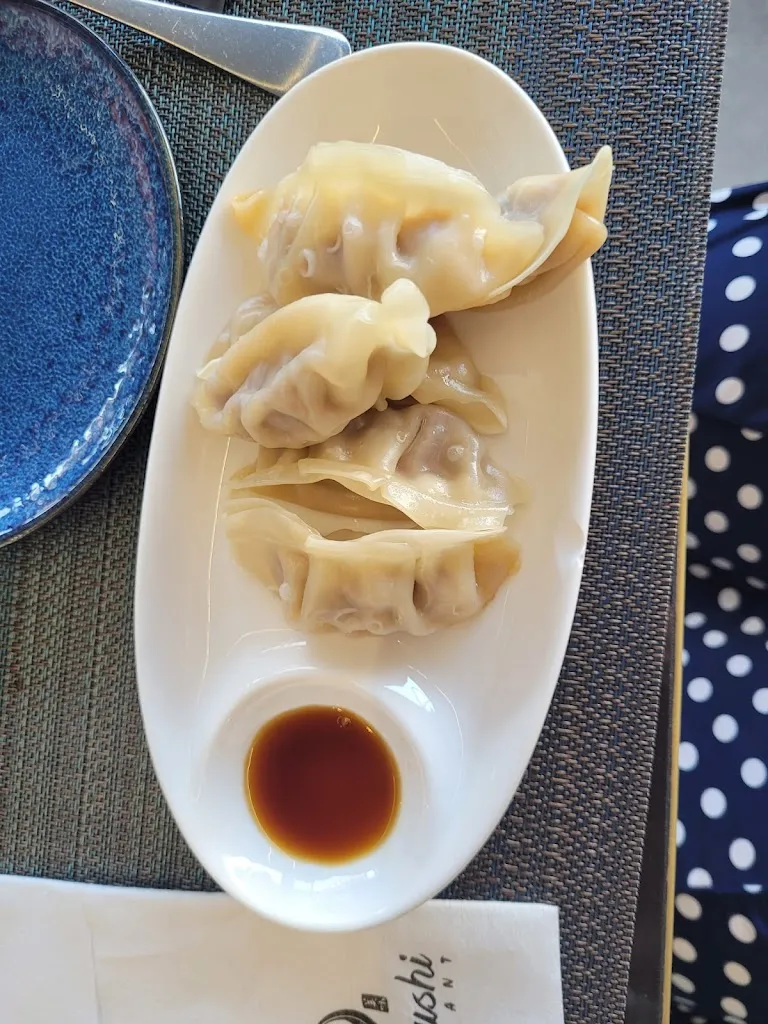 Menu_Oishi sushi_Bibione_image_6