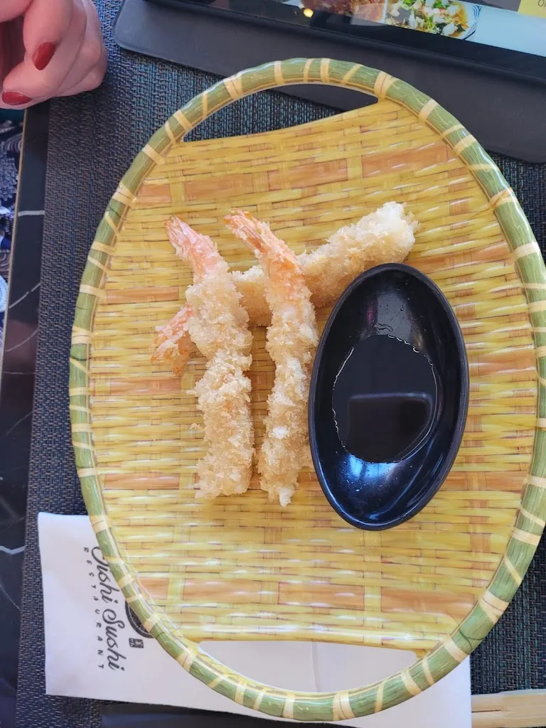 Menu_Oishi sushi_Bibione_image_8