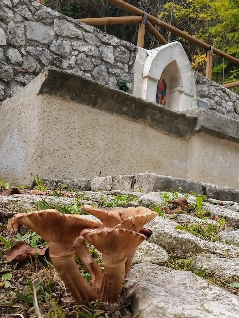 Domenico Milani_Agriturismo Da Gabriele_Borso del Grappa_review