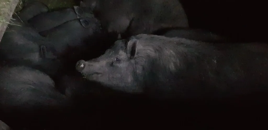 Milo Antonello_Agriturismo De Lucchi_Borso del Grappa_review