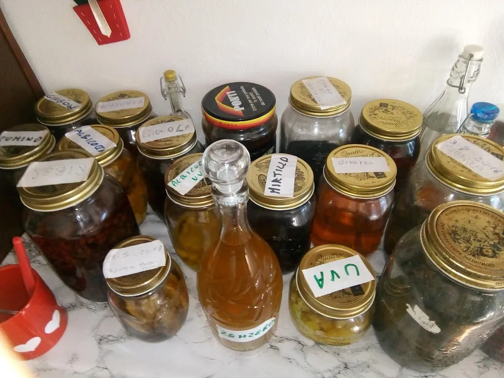 Menu_Malga Moda_Borso del Grappa_image_4