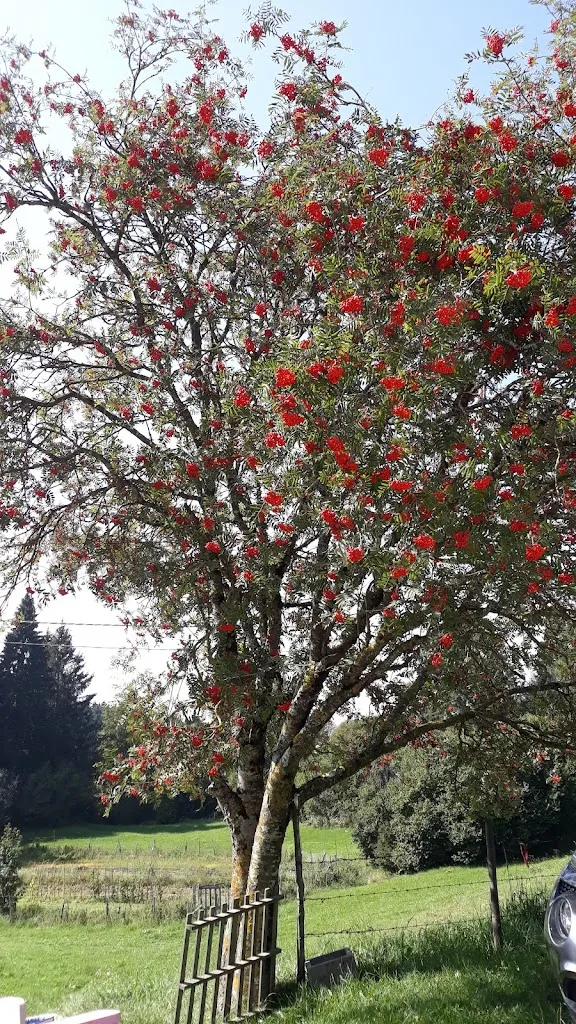 Инна Inna_Malga Moda_Borso del Grappa_review