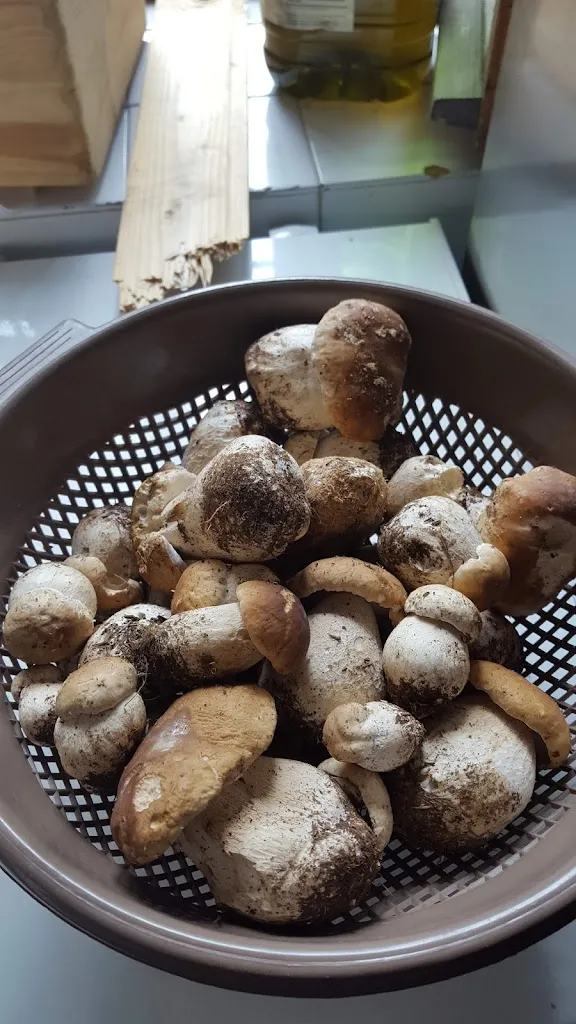 Menu_Locanda Maregge_Bosco Chiesanuova_image_2