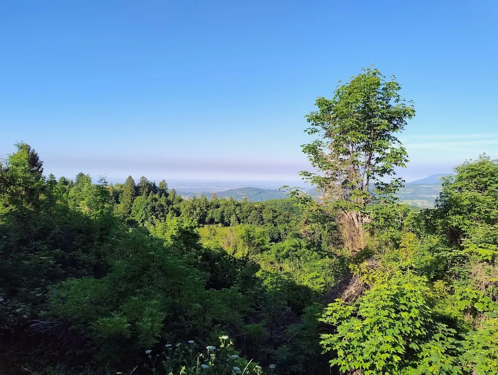 Armando Campaniello_Hotel Ristorante Piccola Mantova_Bosco Chiesanuova_review