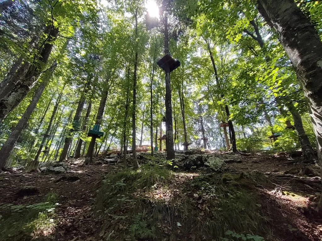 Raffaele Turra_Boscopark Adventure Park_Bosco Chiesanuova_review