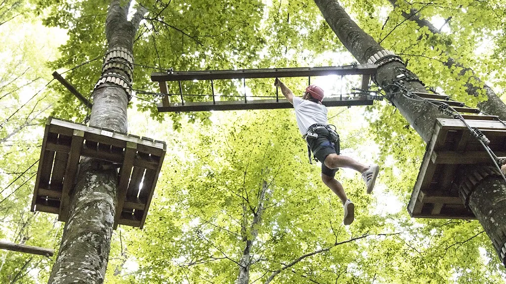 Boscopark Adventure Park restaurant in Bosco Chiesanuova