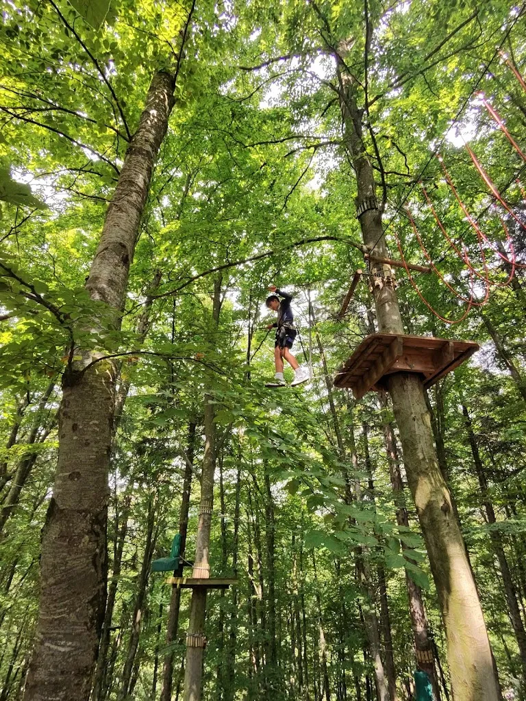 Boscopark Adventure Park_Bosco Chiesanuova_slider_image_3