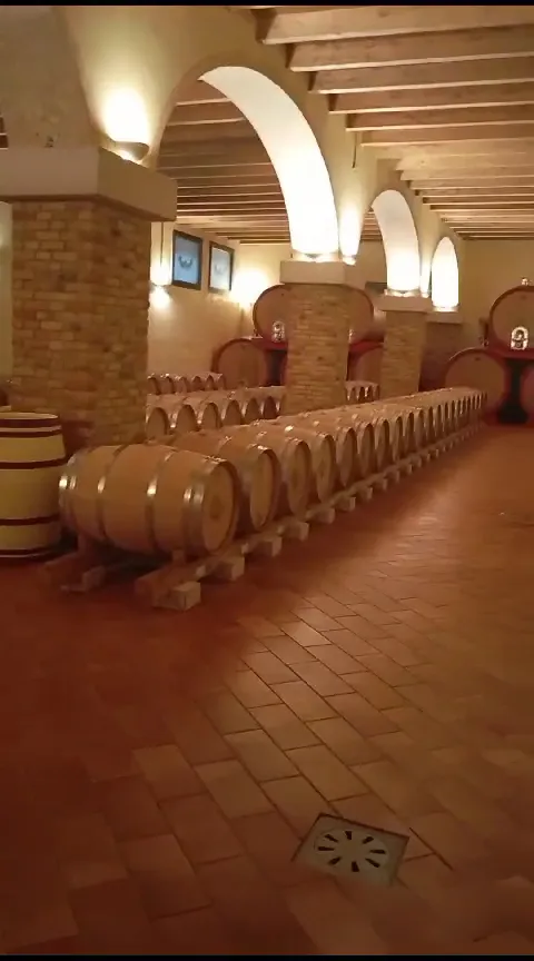 Cantina Valdadige_Brentino Belluno_slider_image_2