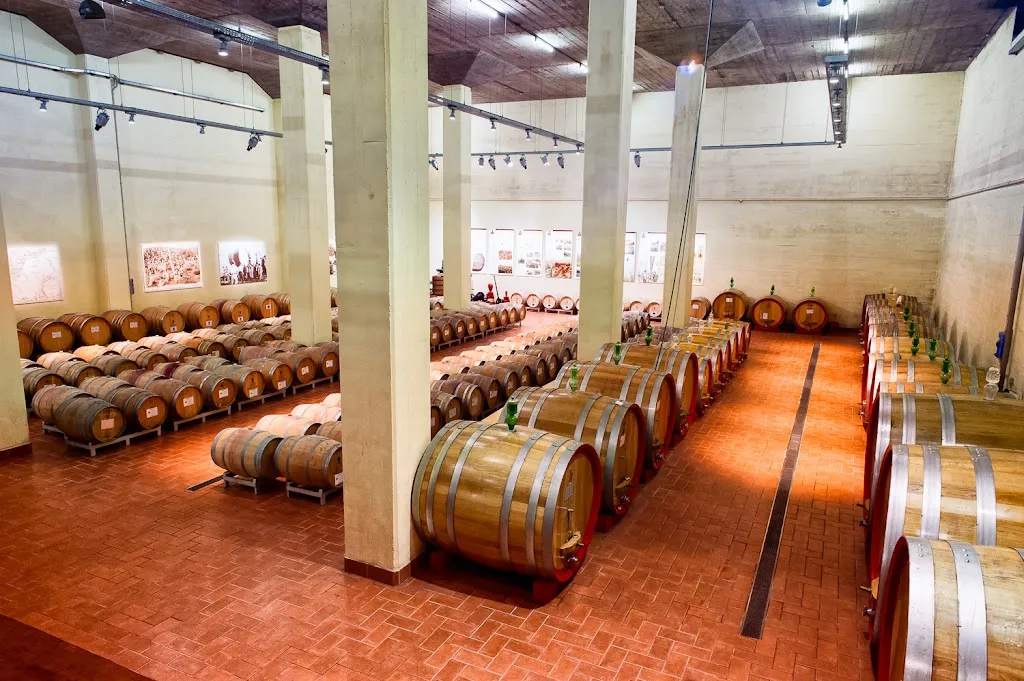 Cantina Beato Bartolomeo di Breganze restaurant in Breganze