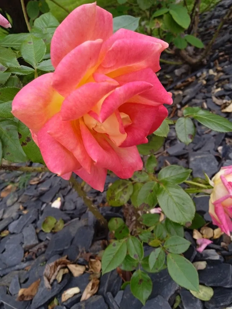 Narayanasamy Arunachalam_Social Farm La Costa_Breganze_review