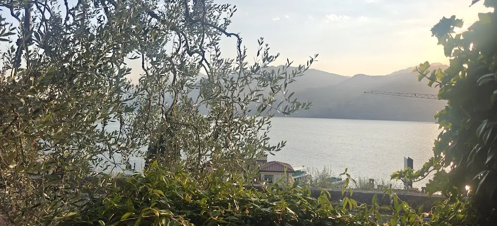 Theo xXx_Ristorante Pizzeria DA GIGI_Brenzone_review