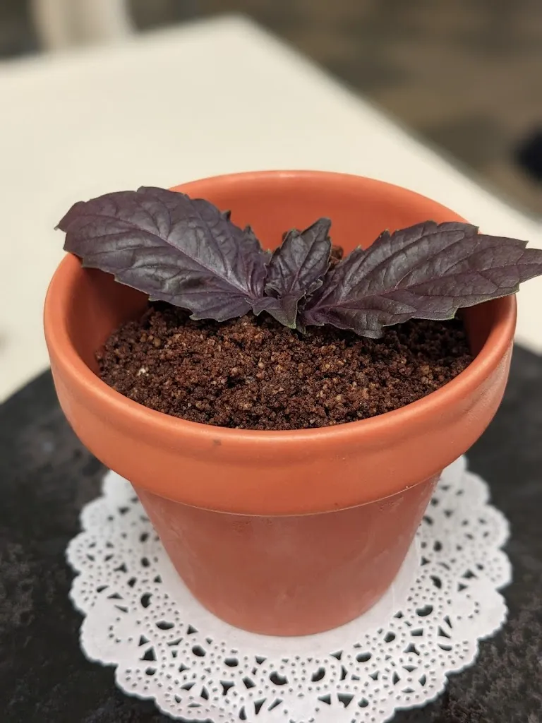 Menu_Osteria Monacelle_Ostuni_image_9