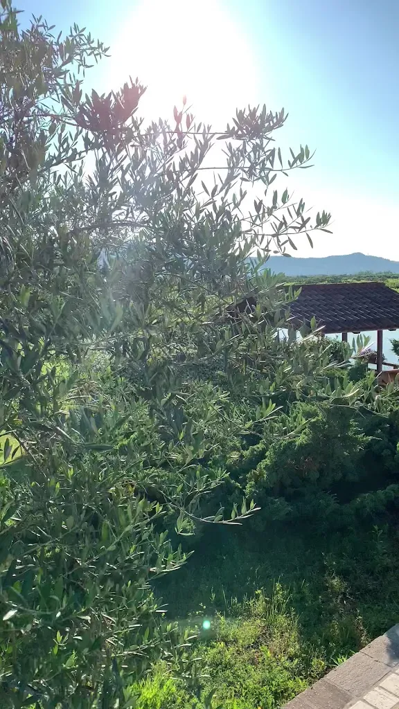 Maksim Lun_LA FONTANELLA_Brognoligo-Costalunga_review