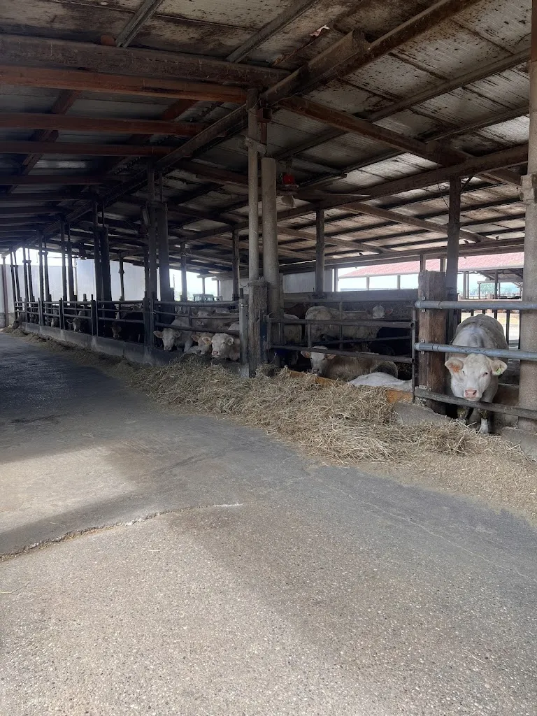 Federica Latina_Farmhouse Al Fornello_Ca' degli Oppi_review