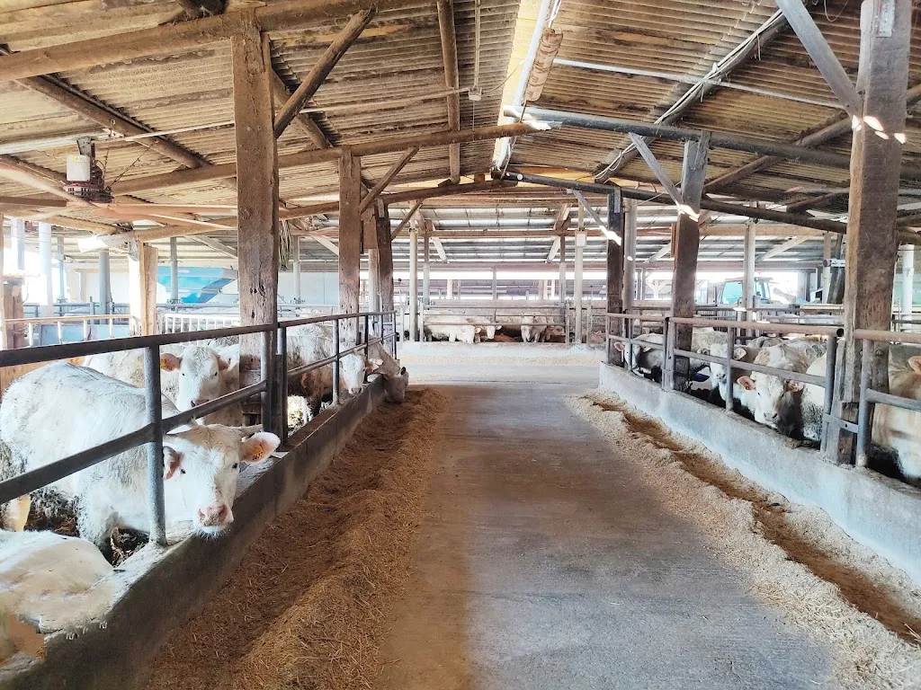 Farmhouse Al Fornello_Ca' degli Oppi_slider_image_2