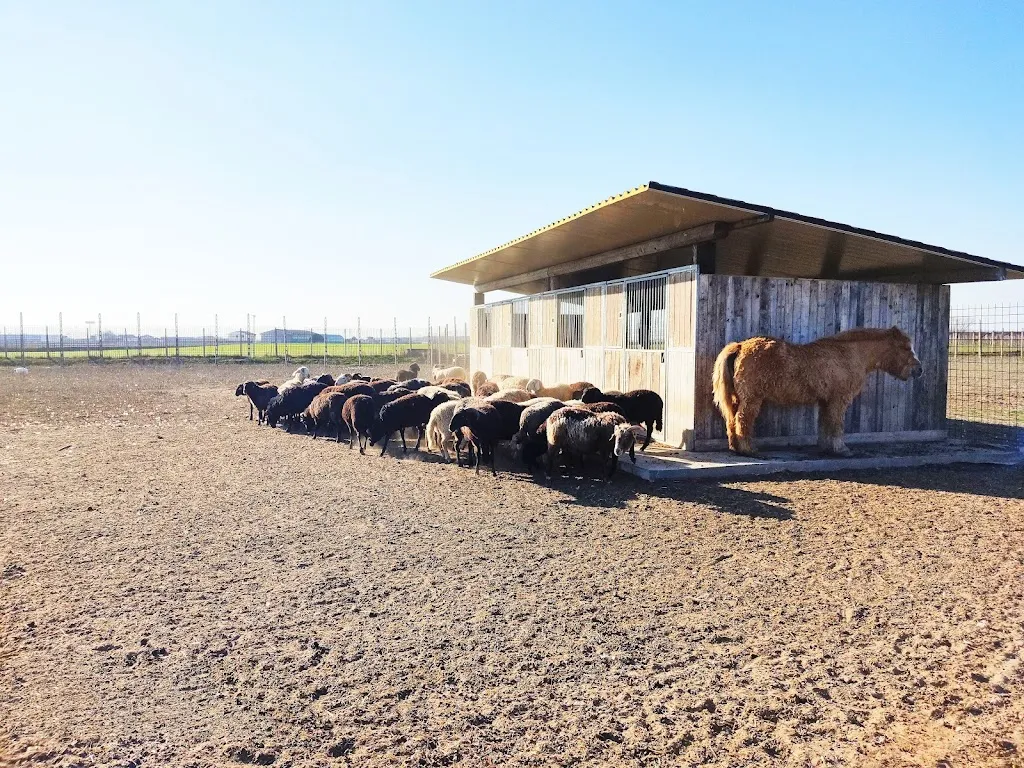 Farmhouse Al Fornello_Ca' degli Oppi_slider_image_3