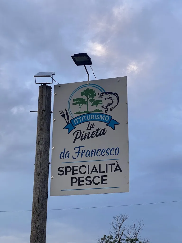 Raniero Kay_Ittiturismo La Pineta_Ca' Tiepolo_review