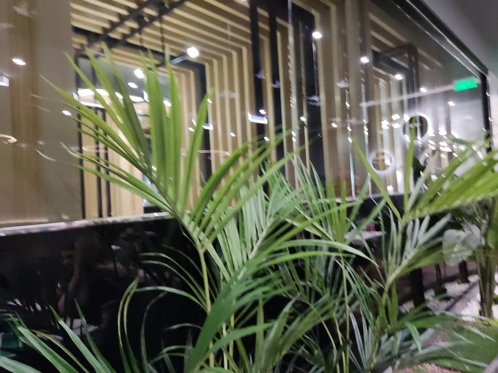 Nemanja L._Hama Sushi Bussolengo_Bussolengo_review