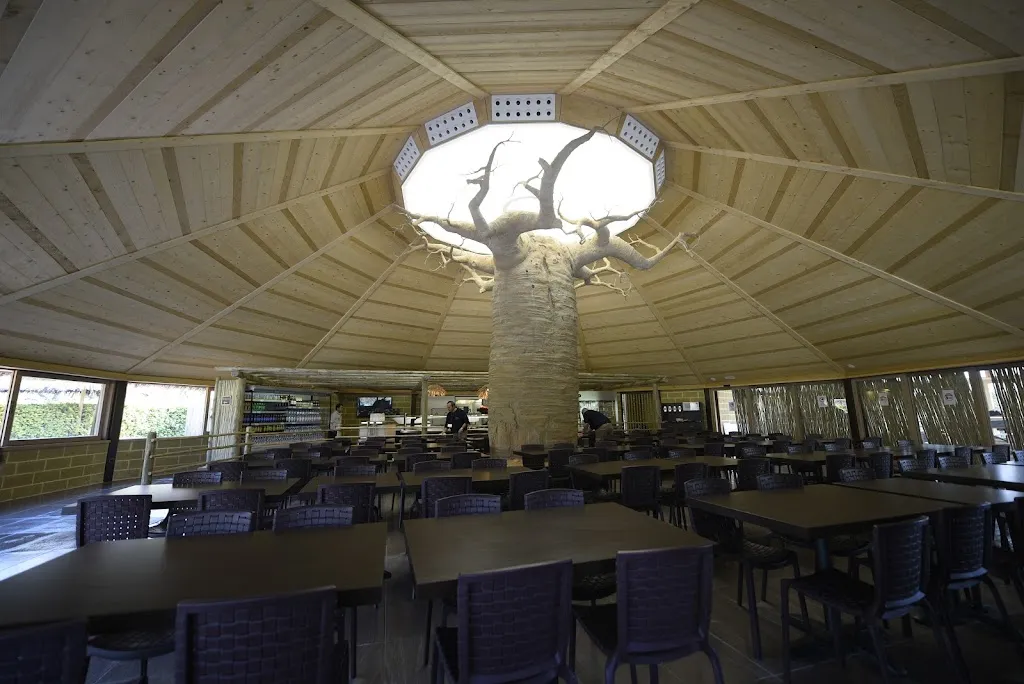 Simba Self restaurant in Bussolengo