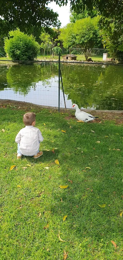 Alyn Cincă_Locanda I Calòseni - Ristorante con piscina_Caldierino-Rota_review